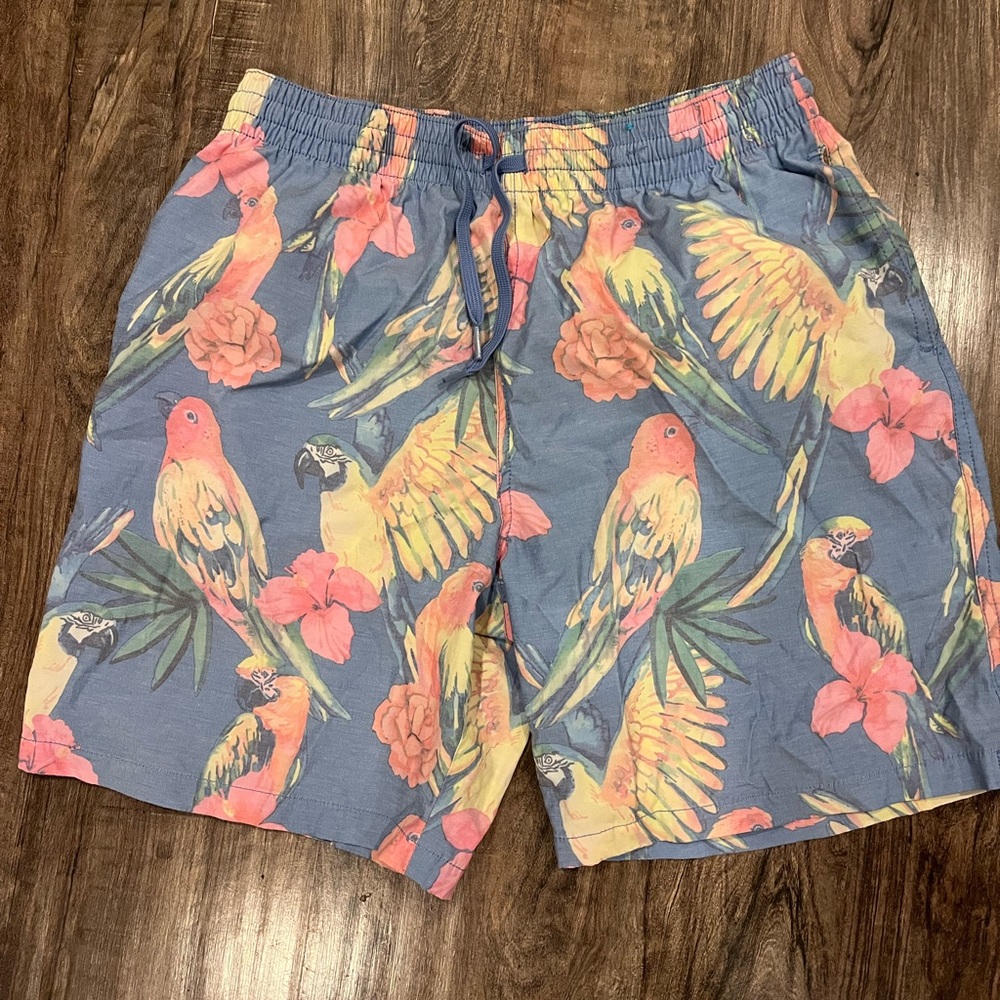 Mens chubbies